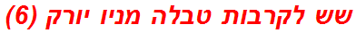 שש לקרבות טבלה מניו יורק (6)