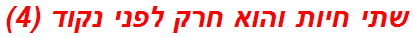 שתי חיות והוא חרק לפני נקוד (4)