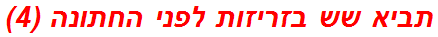 תביא שש בזריזות לפני החתונה (4)