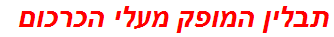 תבלין המופק מעלי הכרכום