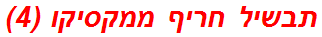 תבשיל חריף ממקסיקו (4)