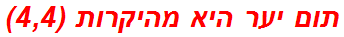 תום יער היא מהיקרות (4,4)