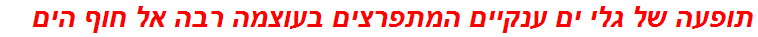 תופעה של גלי ים ענקיים המתפרצים בעוצמה רבה אל חוף הים