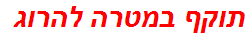 תוקף במטרה להרוג