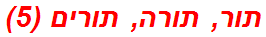 תור, תורה, תורים (5)