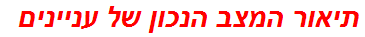 תיאור המצב הנכון של עניינים