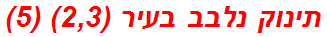 תינוק נלבב בעיר (2,3) (5)