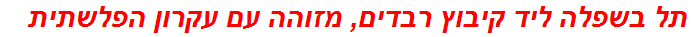 תל בשפלה ליד קיבוץ רבדים, מזוהה עם עקרון הפלשתית