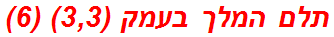 תלם המלך בעמק (3,3) (6)