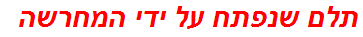 תלם שנפתח על ידי המחרשה