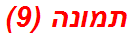 תמונה (9)