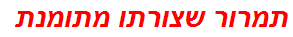 תמרור שצורתו מתומנת