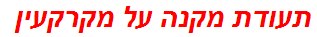 תעודת מקנה על מקרקעין