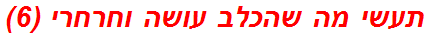 תעשי מה שהכלב עושה וחרחרי (6)