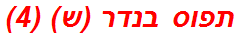 תפוס בנדר (ש) (4)