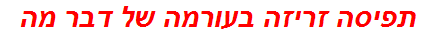 תפיסה זריזה בעורמה של דבר מה