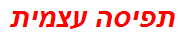 תפיסה עצמית