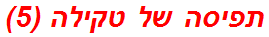 תפיסה של טקילה (5)