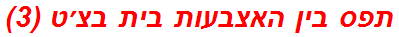 תפס בין האצבעות בית בצ׳ט (3)