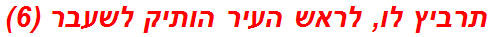 תרביץ לו, לראש העיר הותיק לשעבר (6)