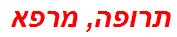 תרופה, מרפא