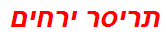 תריסר ירחים