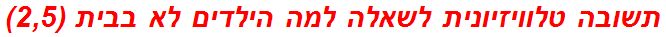 תשובה טלוויזיונית לשאלה למה הילדים לא בבית (2,5)