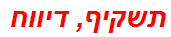 תשקיף, דיווח