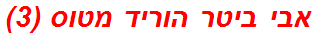 אבי ביטר הוריד מטוס (3)