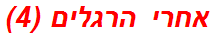 אחרי הרגלים (4)