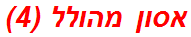 אסון מהולל (4)