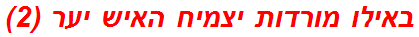 באילו מורדות יצמיח האיש יער (2)