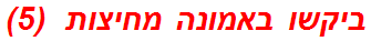 ביקשו באמונה מחיצות  (5)