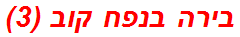 בירה בנפח קוב (3)