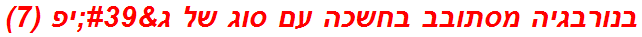 בנורבגיה מסתובב בחשכה עם סוג של ג'יפ (7)