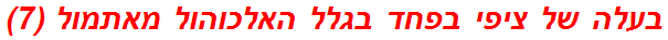 בעלה של ציפי בפחד בגלל האלכוהול מאתמול (7)