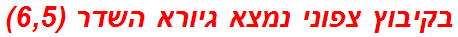 בקיבוץ צפוני נמצא גיורא השדר (6,5)