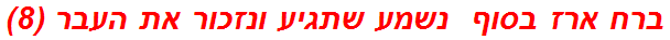 ברח ארז בסוף  נשמע שתגיע ונזכור את העבר (8)