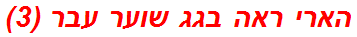 הארי ראה בגג שוער עבר (3)