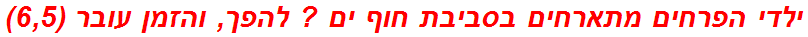 ילדי הפרחים מתארחים בסביבת חוף ים ? להפך, והזמן עובר (6,5)