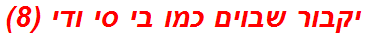 יקבור שבוים כמו בי סי ודי (8)