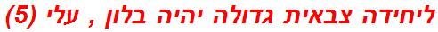 ליחידה צבאית גדולה יהיה בלון , עלי (5)