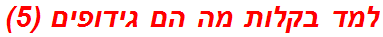 למד בקלות מה הם גידופים (5)