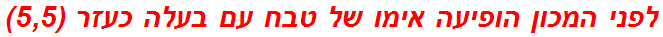 לפני המכון הופיעה אימו של טבח עם בעלה כעזר (5,5)