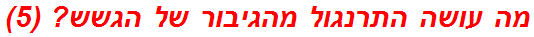 מה עושה התרנגול מהגיבור של הגשש? (5)