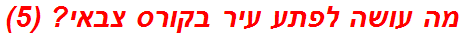 מה עושה לפתע עיר בקורס צבאי? (5)