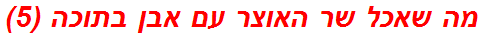 מה שאכל שר האוצר עם אבן בתוכה (5)