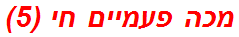 מכה פעמיים חי (5)