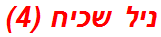 ניל שכיח (4)