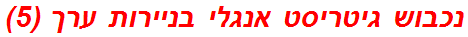 נכבוש גיטריסט אנגלי בניירות ערך (5)